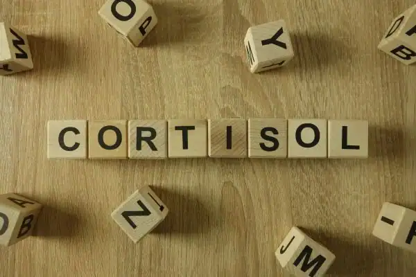 The Hidden Connection: How Stress Shapes Your Fitness and Body Composition 2 Image saying "Cortisol" and how stress Tilbury impacts your wellbeing and bodies shape